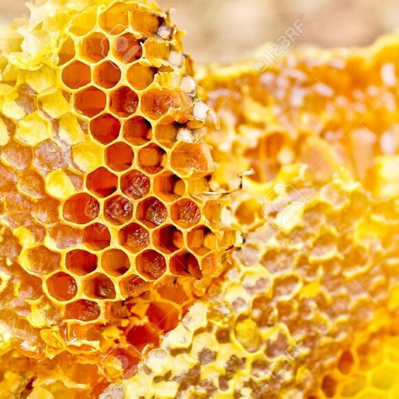 Beeswax Hand Cream Lavender + Sage Natural - Picture 2 of 3